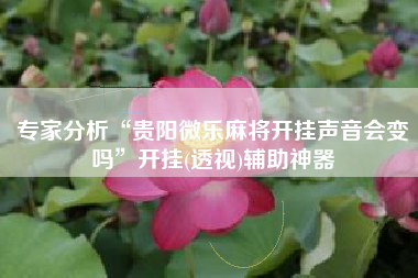 专家分析“贵阳微乐麻将开挂声音会变吗”开挂(透视)辅助神器