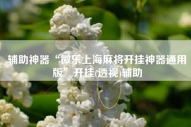 辅助神器“微乐上海麻将开挂神器通用版”开挂(透视)辅助
