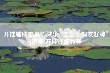 开挂辅助工具“微乐27王怎么调发好牌”(透视)开挂详细教程