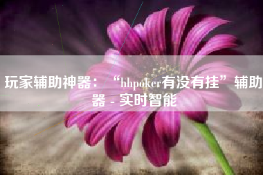 玩家辅助神器：“hhpoker有没有挂”辅助器 - 实时智能