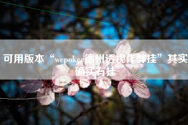 可用版本“wepoker德州透视作弊挂	”其实确实有挂