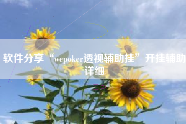 软件分享“wepoker透视辅助挂”开挂辅助详细