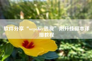 软件分享“wepoKer透视	”附开挂脚本详细教程