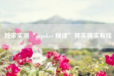 独家实测“wepoker 规律	”其实确实有挂