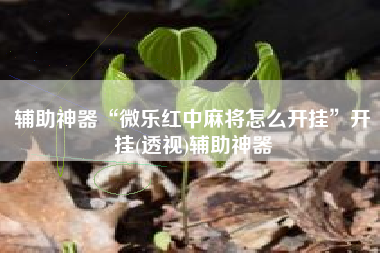 辅助神器“微乐红中麻将怎么开挂”开挂(透视)辅助神器