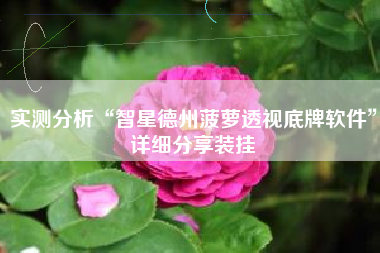 实测分析“智星德州菠萝透视底牌软件”详细分享装挂