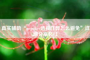 真实辅助“wepoker透视作弊怎么避免”详细分享装挂
