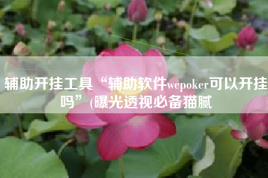 辅助开挂工具“辅助软件wepoker可以开挂吗”(曝光透视必备猫腻