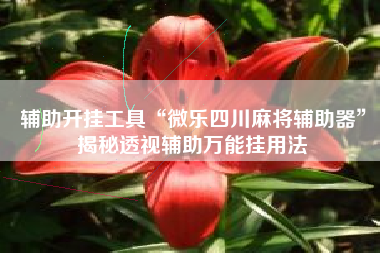 辅助开挂工具“微乐四川麻将辅助器	”揭秘透视辅助万能挂用法