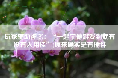 玩家辅助神器：“一起宁德游戏到底有没有人用挂”(原来确实是有插件