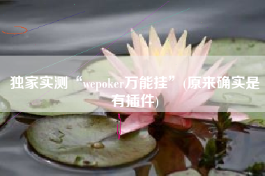 独家实测“wepoker万能挂	”(原来确实是有插件)