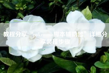 教程分享“pokemmo脚本辅助器”详细分享装挂步骤