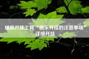 辅助开挂工具“微乐开挂的注意事项”详细开挂
