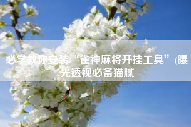 必学教你安装“雀神麻将开挂工具”(曝光透视必备猫腻