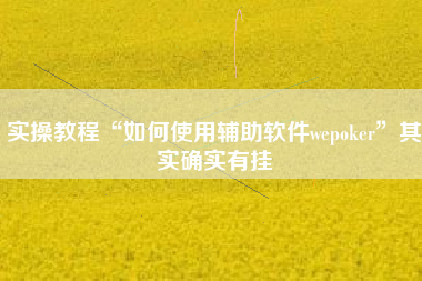 实操教程“如何使用辅助软件wepoker	”其实确实有挂