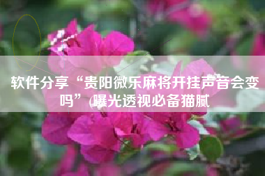 软件分享“贵阳微乐麻将开挂声音会变吗	”(曝光透视必备猫腻