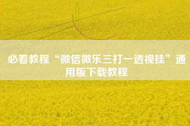 必看教程“微信微乐三打一透视挂”通用版下载教程