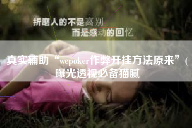 真实辅助“wepoker作弊开挂方法原来”(曝光透视必备猫腻