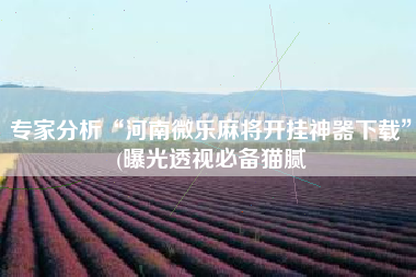 专家分析“河南微乐麻将开挂神器下载	”(曝光透视必备猫腻