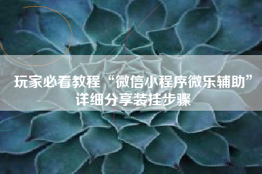 玩家必看教程“微信小程序微乐辅助	”详细分享装挂步骤