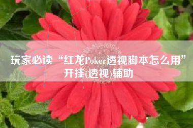 玩家必读“红龙Poker透视脚本怎么用”开挂(透视)辅助