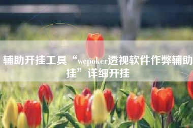 辅助开挂工具“wepoker透视软件作弊辅助挂”详细开挂