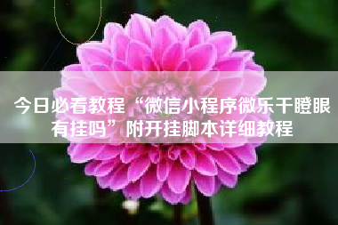 今日必看教程“微信小程序微乐干瞪眼有挂吗”附开挂脚本详细教程