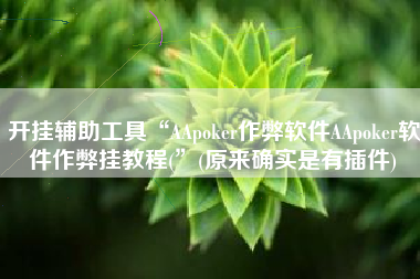 开挂辅助工具“AApoker作弊软件AApoker软件作弊挂教程(”(原来确实是有插件)