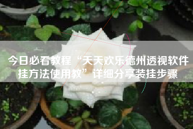 今日必看教程“天天欢乐德州透视软件挂方法使用教”详细分享装挂步骤