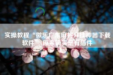 实操教程“微乐广东麻将开挂神器下载软件”(原来确实是有插件