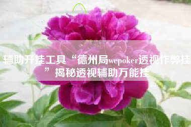 辅助开挂工具“德州局wepoker透视作弊挂”揭秘透视辅助万能挂