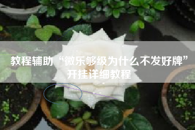 教程辅助“微乐够级为什么不发好牌”开挂详细教程