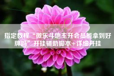 指定教程“微乐斗地主开会员能拿到好牌吗”开挂辅助脚本+详细开挂