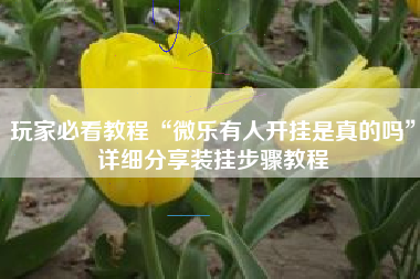 玩家必看教程“微乐有人开挂是真的吗	”详细分享装挂步骤教程