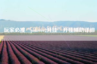 玩家必搜“pokerrr2开挂	”开挂辅助详细