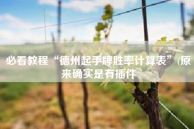 必看教程“德州起手牌胜率计算表”(原来确实是有插件