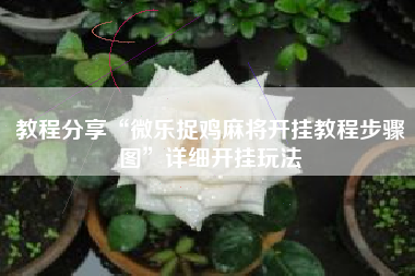 教程分享“微乐捉鸡麻将开挂教程步骤图	”详细开挂玩法