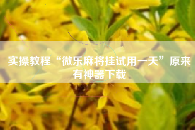 实操教程“微乐麻将挂试用一天	”原来有神器下载