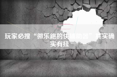 玩家必搜“微乐跑的快辅助器	”其实确实有挂