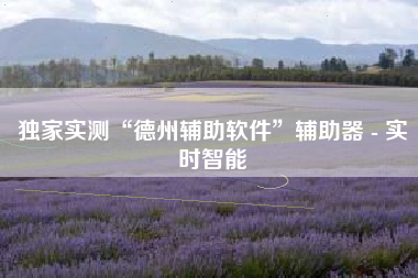 独家实测“德州辅助软件”辅助器 - 实时智能