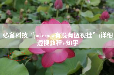 必备科技“pokernow有没有透视挂”(详细透视教程)-知乎