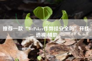 推荐一款“WePoker作弊挂安全吗”开挂(透视)辅助