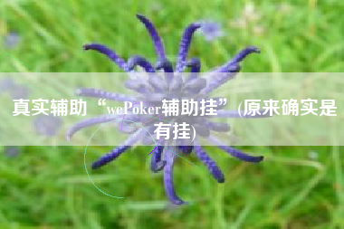 真实辅助“wePoker辅助挂”(原来确实是有挂)