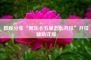 教程分享“微乐卡五星怎么开挂	”开挂辅助详细