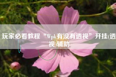 玩家必看教程“Wpk有没有透视”开挂(透视)辅助