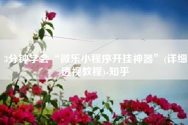 3分钟学会“微乐小程序开挂神器”(详细透视教程)-知乎