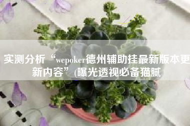 实测分析“wepoker德州辅助挂最新版本更新内容	”(曝光透视必备猫腻