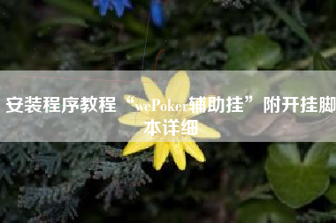 安装程序教程“wePoker辅助挂”附开挂脚本详细