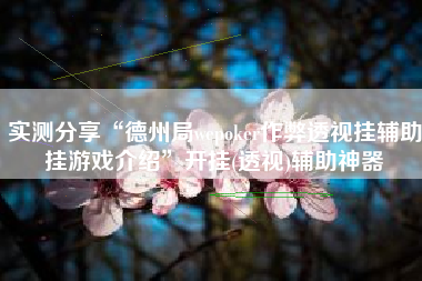 实测分享“德州局wepoker作弊透视挂辅助挂游戏介绍	”开挂(透视)辅助神器