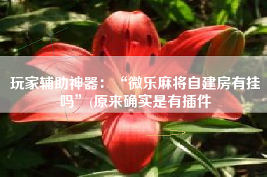 玩家辅助神器：“微乐麻将自建房有挂吗	”(原来确实是有插件